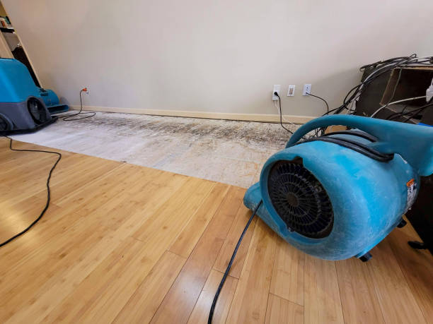 Professional Sewage Cleanup technician working in New Washington, IN